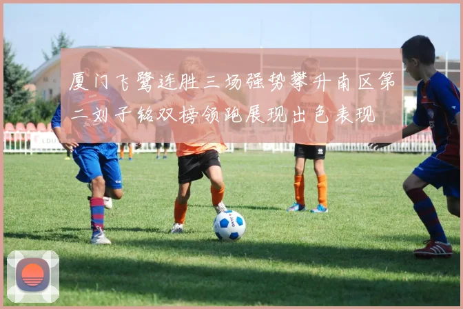 厦门飞鹭连胜三场强势攀升南区第二刘子铭双榜领跑展现出色表现